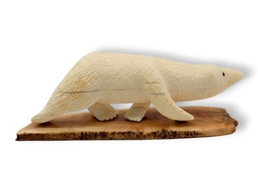 Large Walrus Tusk Polar Bear Carving - Archie Slwooko