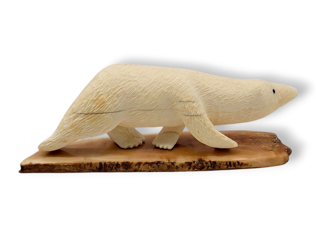 Large Walrus Tusk Polar Bear Carving - Archie Slwooko: A c.1985 walrus tusk carving depicting an Alaskan polar bear with deeply incised fur and baleen eyes. Mounted upon a fossilized tusk base and initialed A.H.S., believed to represent Yup'ik artist Arch