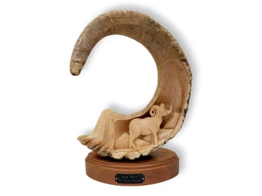 Carved Dall Sheep Ram Horn - Tom Cooper
