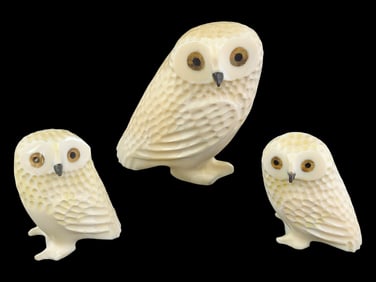 Walrus Tusk Carved Owls
