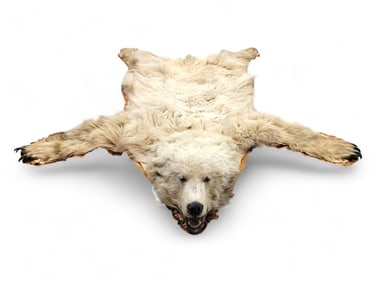 Alaskan Grizzly Bear Taxidermy Rug