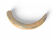 69lb Peace River, FL Mammoth Tusk Fossil