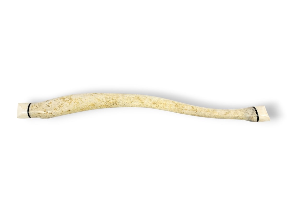 24" Walrus Oosik w/ Baleen & Walrus Tusk End Caps: A walrus oosik, a word coming from the Inupiaq word usak or uzuk, a term used to refer to the baculum, or penile bone, of various Arctic marine mammals. This example is capped at both ends with a laye