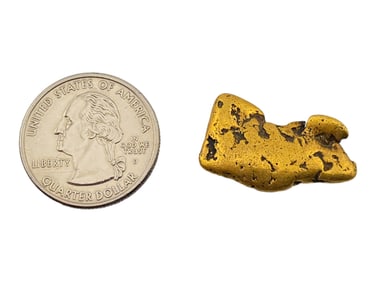 Alaska Placer Gold Nugget - 12.87 Grams