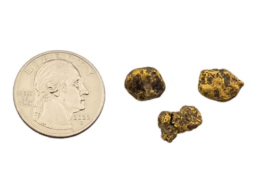 Alaskan Placer Gold Nuggets - 5.59 Grams