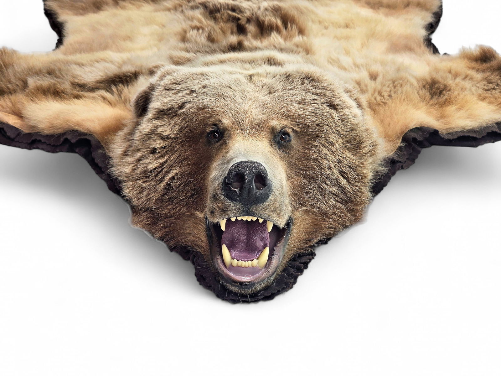 93" Alaska Brown Bear Rug - 2