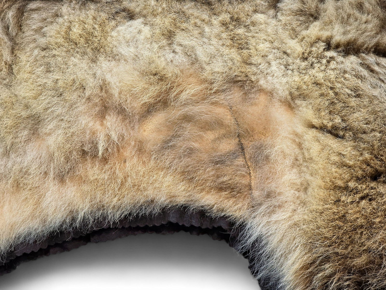 93" Alaska Brown Bear Rug - 8