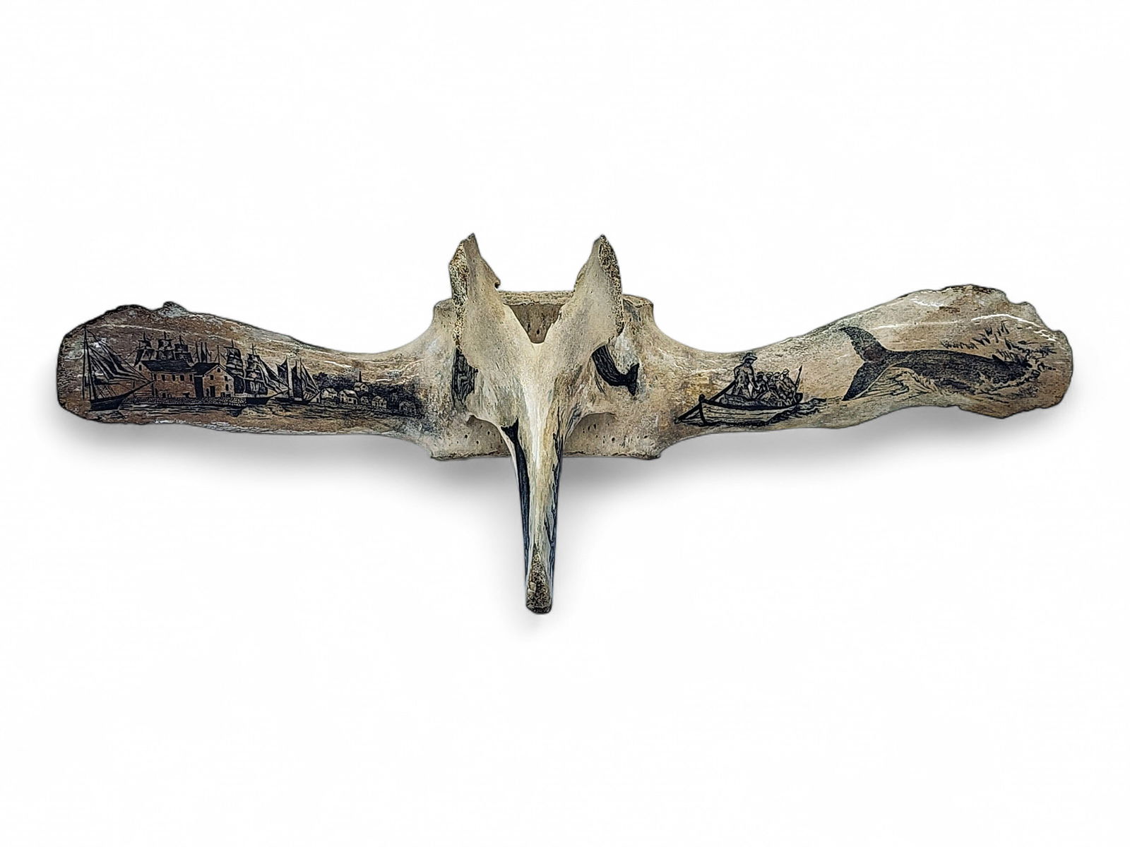 50.5" Scrimshaw Whale Vertebra: A stunning vintage example of a whale lumbar vertebra, the transverse processes displaying the scrimshaw image of a whaling village on one end, a small whaling vessel filled with men, and a breaching