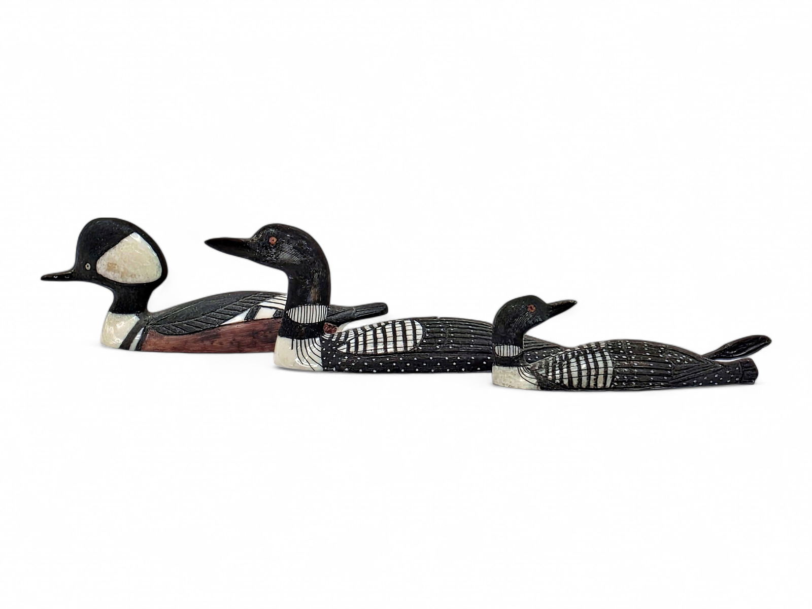 Walrus Tusk Loons & Merganser - Al Mayac (1 of 12)
