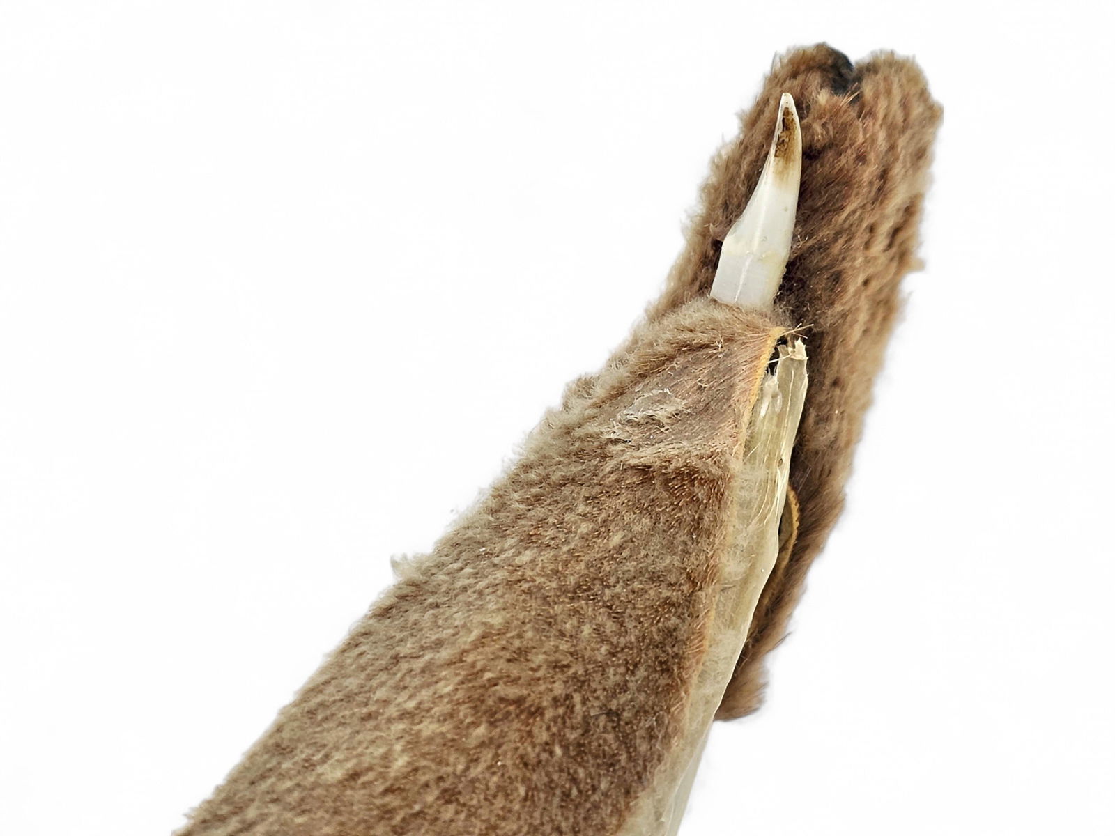 A Large Aleut Kayak Model - 8