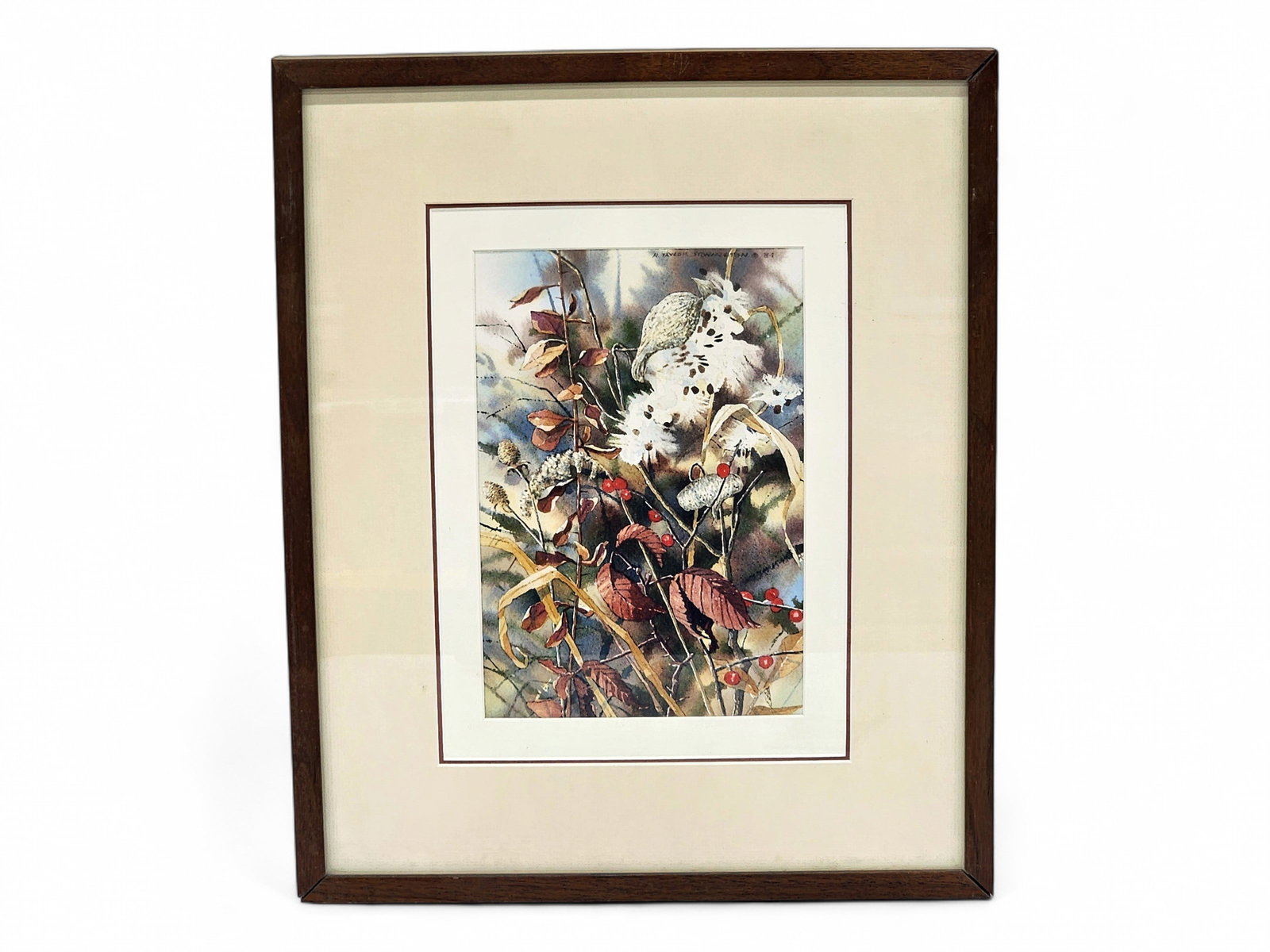 Nancy Taylor Stonington Floral Watercolor Painting: An original floral watercolor painting depicting autumn vegetation including milkweed in the pod stage of the plant's life cycle and red berries, signed upper right by Alaska artist Nancy Taylor Stoni