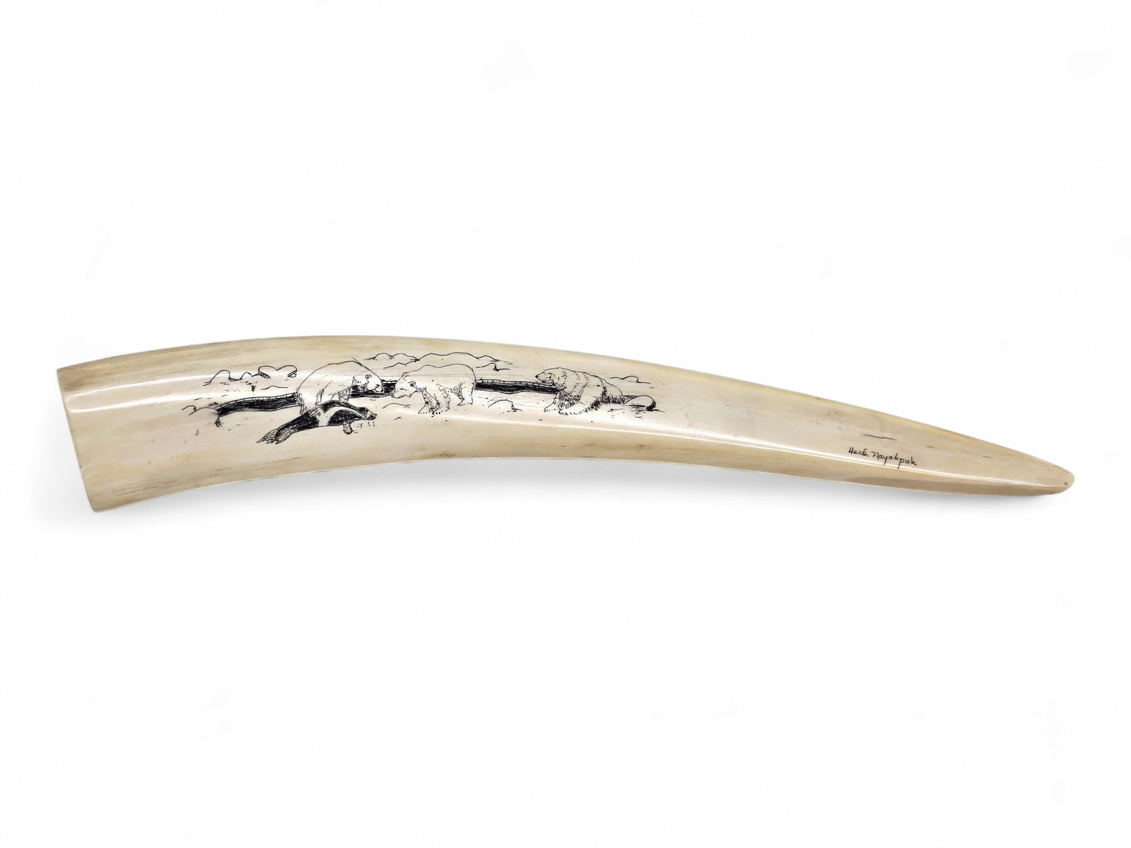 Walrus Tusk w/ Scrimshaw Polar Bears & Ringed Seal - Herbert Nayokpuk (1 of 6)