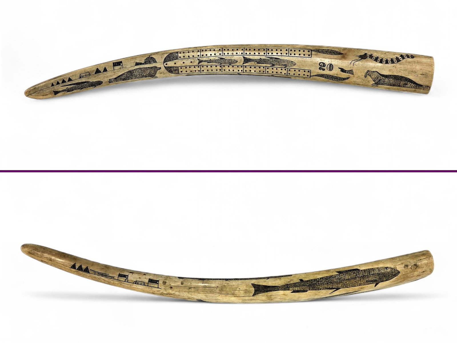 Happy Jack Angokwazhuk Attributed Nome Gold Rush Scrimshaw Cribbage Board: An exceptional and highly elaborate scrimshawed walrus tusk cribbage board attributed to celebrated Inupiaq artist "Happy Jack" Angokwazhuk (1870?-1918), among the earliest and most influential profes