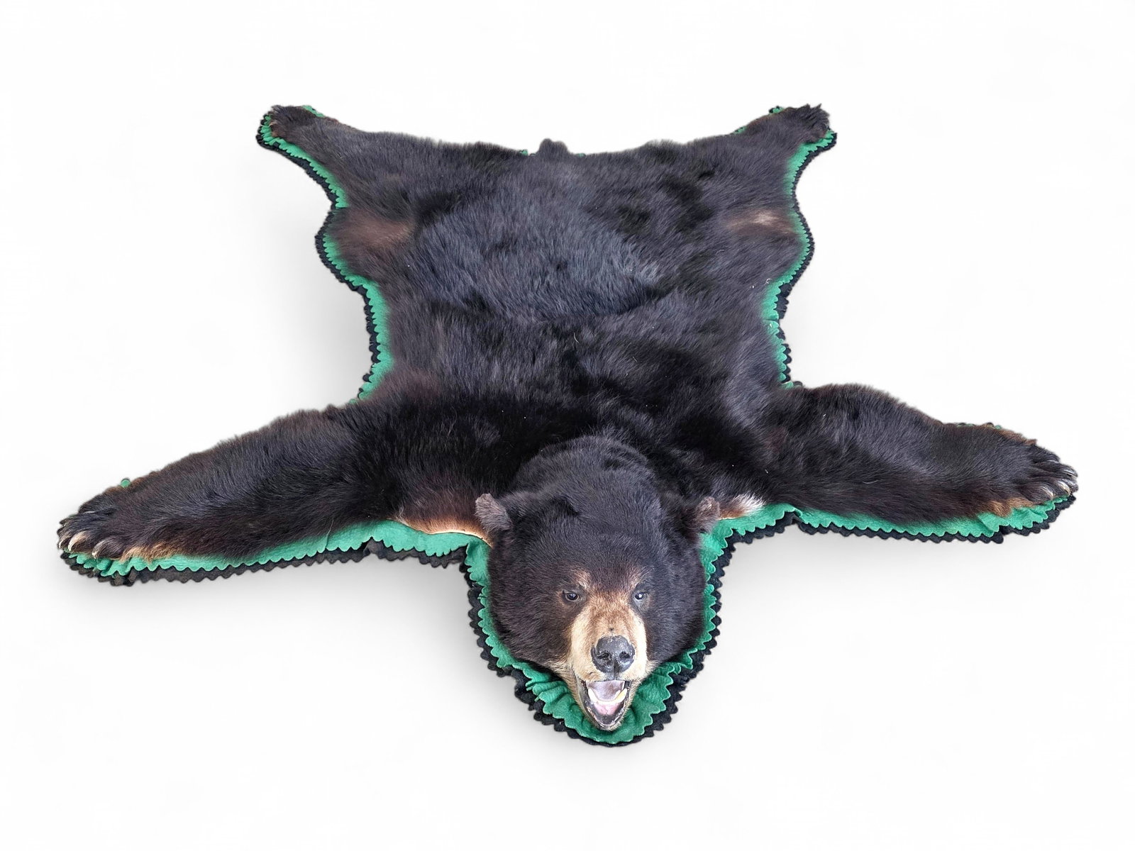 Black Bear Taxidermy Rug - Jonas Bros. (1 of 11)