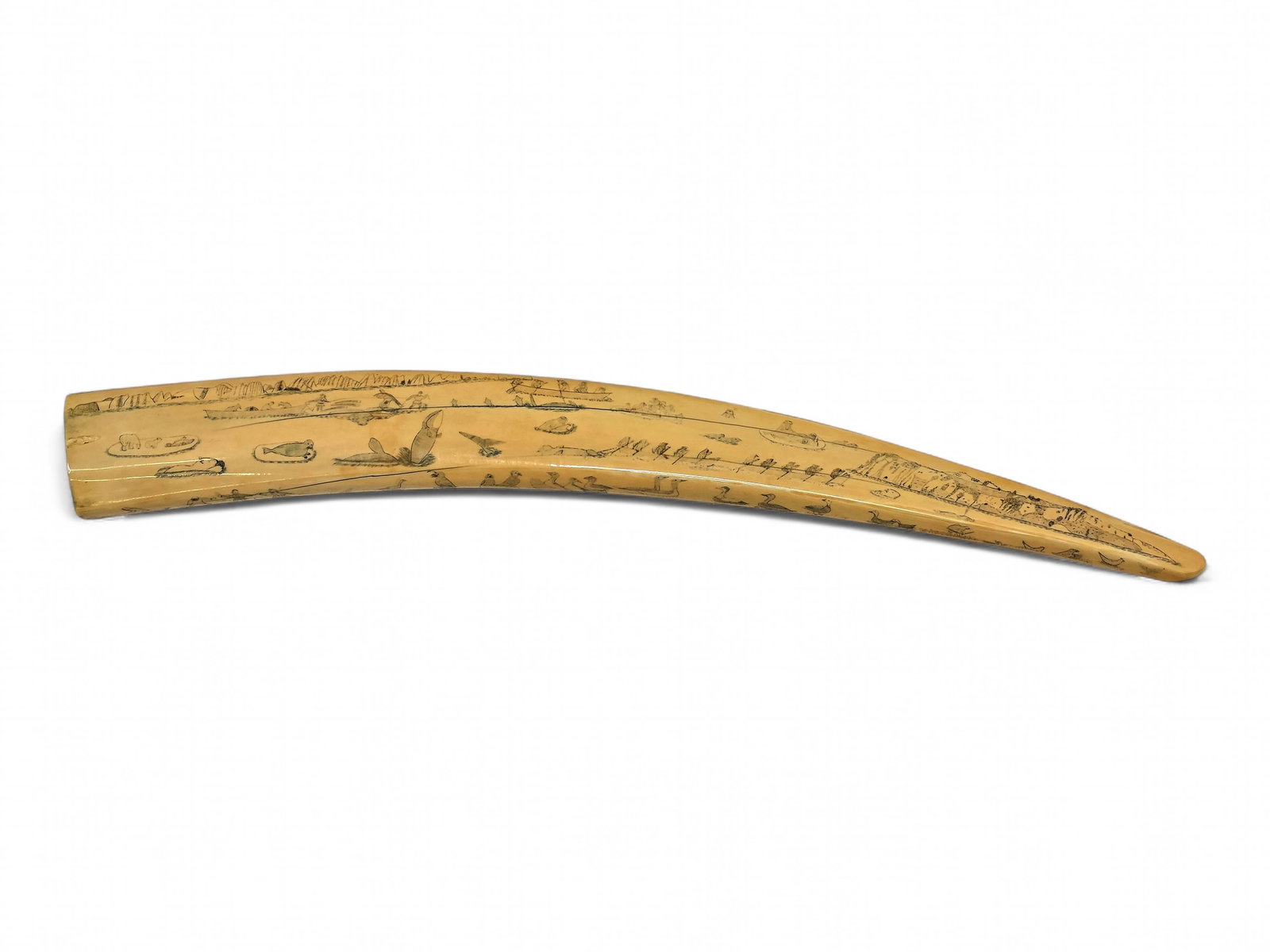Large Eskimo Folk Art Panoramic Scrimshaw Walrus Tusk (1 of 13)