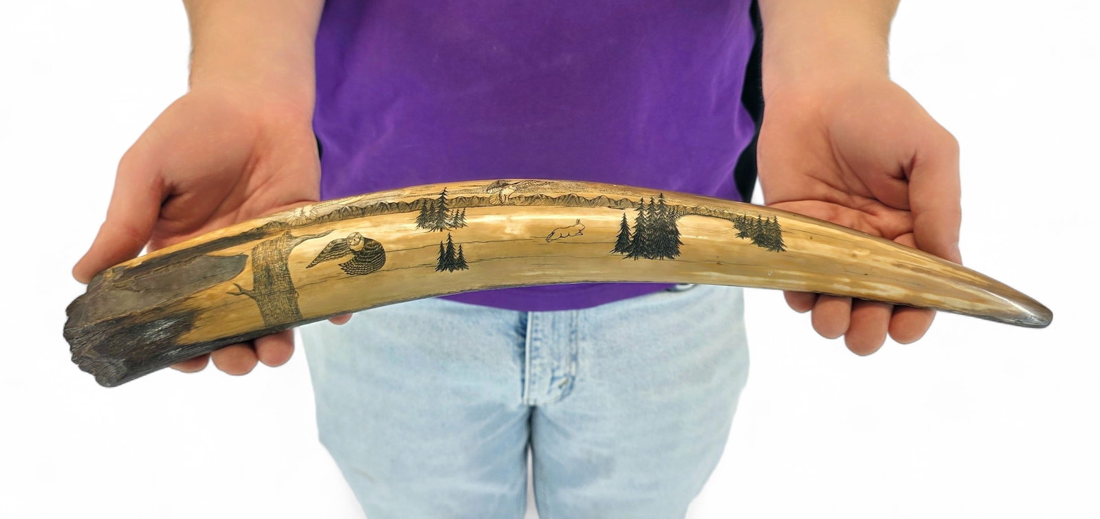 Fossilized Walrus Tusk Scrimshaw Landscape with Owls & Hare (1 of 9)