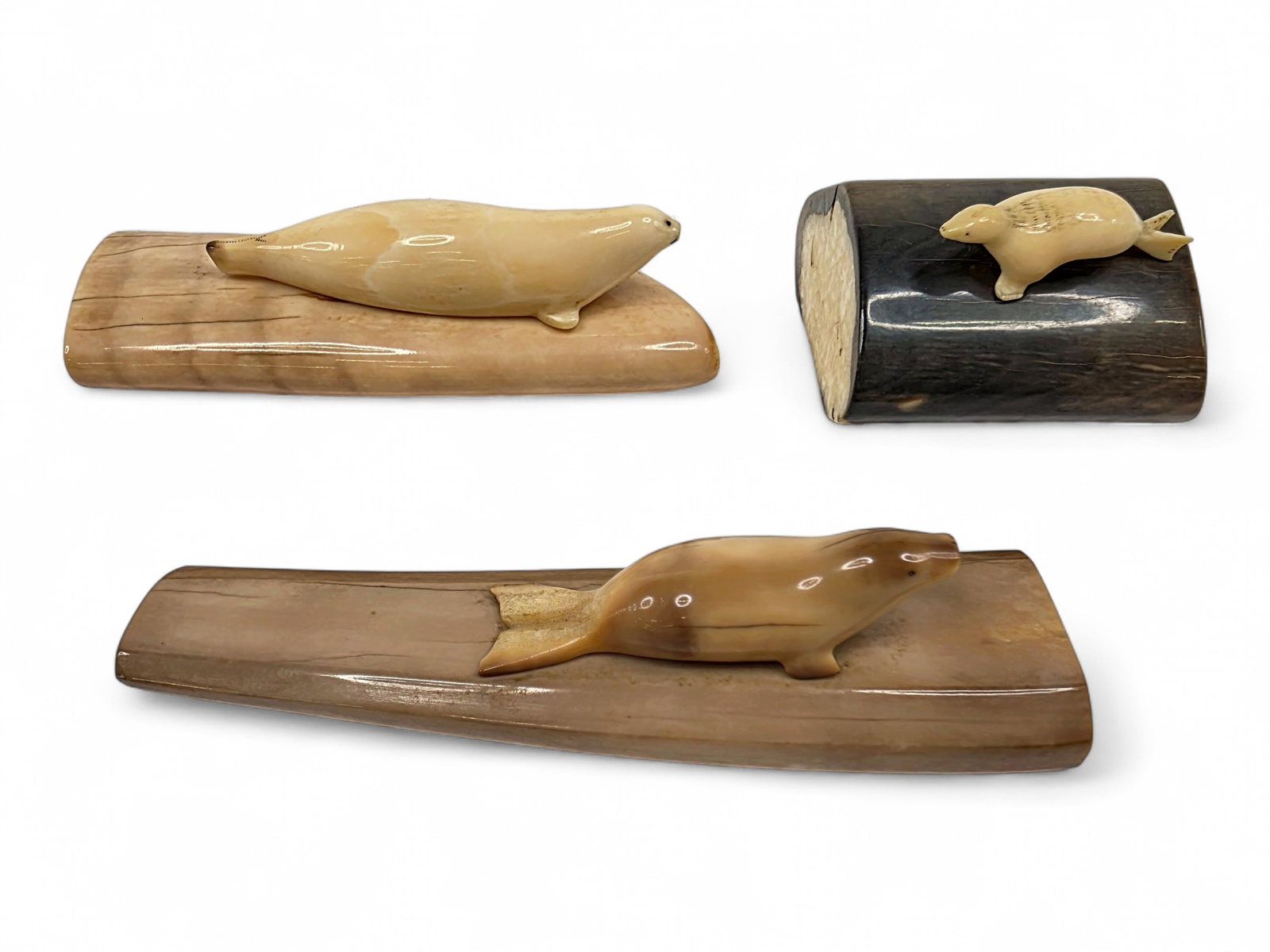 Fossil Walrus Tusk Display Sculptures of Arctic Seals: A bold group of three Alaska Native seal sculptures, each featuring a polished walrus tusk seal mounted atop an individual section of fossilized walrus tusk. While the seal carvings themselves are cha