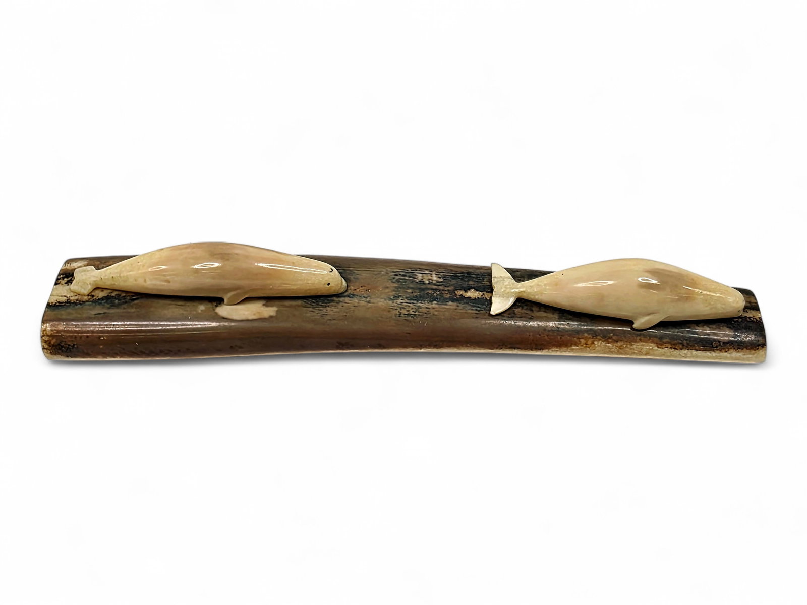A Fossil Walrus Tusk Whale Diorama: A charming Alaska Native marine mammal diorama featuring two whales rendered in polished walrus tusk and mounted atop a naturally curved section of fossilized walrus tusk. Both figures are accented wi