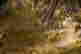 item-71457332=11