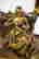 item-71457332=9