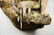 Mountain Lion Life-Size Taxidermy Mount - 7