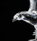 1995 Limited Edition Swarovski Silver Crystal Eagle - 15