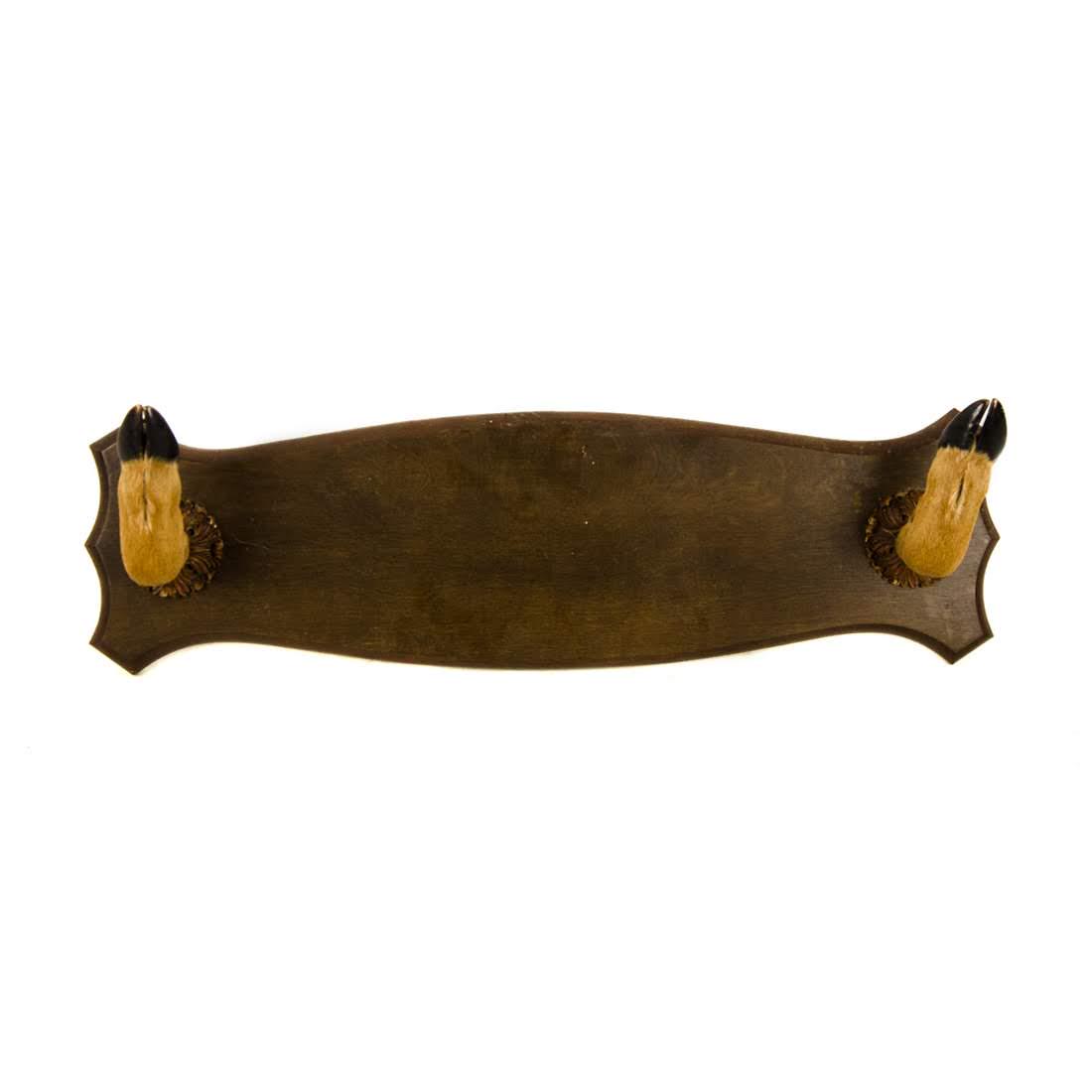 Deer Hoof Taxidermy Wall Mount Coat Rack (1 of 13)