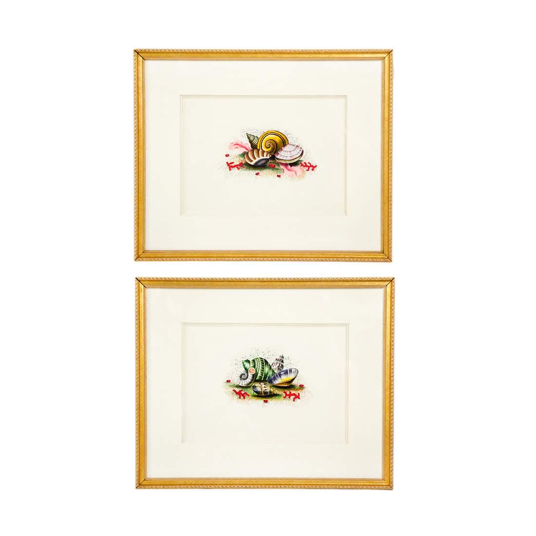 Pair of Shell Chromolithographs on Paper: A pair of vintage chromolithographs on paper. Each piece depicts a grouping of vibrantly colored shells and mollusks. Each is unmarked and presented in a giltwood frame with a wire on the verso for ha