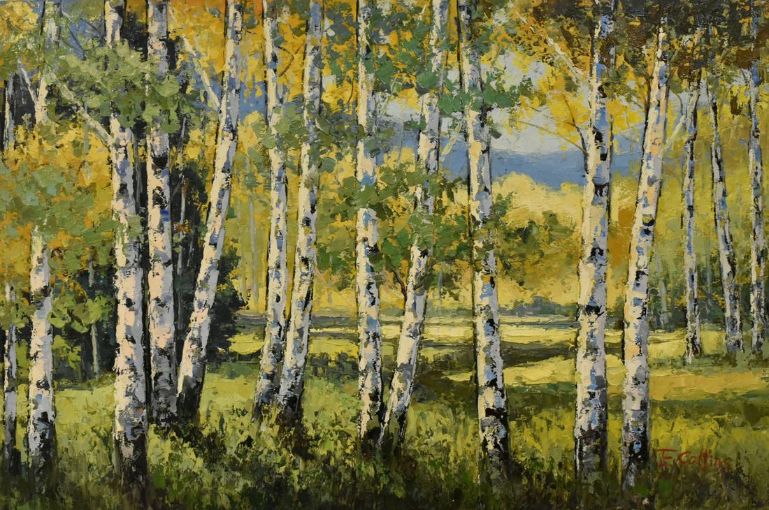 Collins O/C Birch Trees: HORIZ BIRCH TREES WP7515S4A