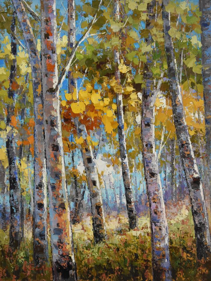 Collins O/C Birch Trees: BIRCH TREES - VERTICAL NC1311N2A