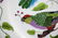 Lynn Chase "Parrots of Paradise" Dinner Plates Set of - 7