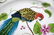 Lynn Chase "Parrots of Paradise" Dinner Plates Set of - 8