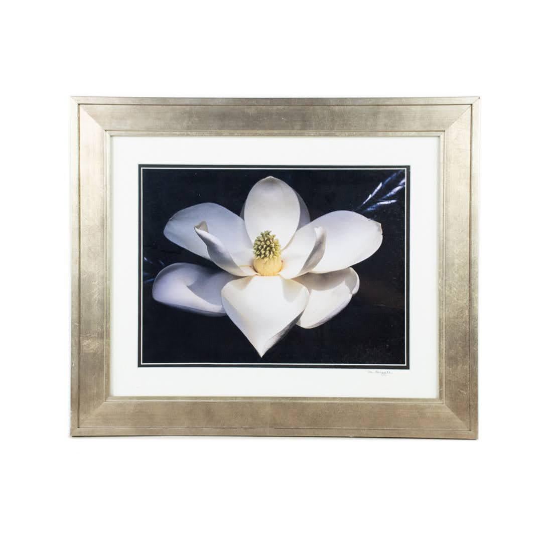 Magnolia Blossom Photograph by Dee Griffith: Magnolia blossom photograph by Dee Griffith. Housed behind glass and german silver frame with white matting. Signed on lower right on matting. In very good condition. Visible area measures: 11.75" x 1