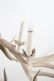 Stag Antler French Provincial 5 Light Chandelier - 5