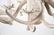 Stag Antler French Provincial 5 Light Chandelier - 6