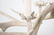 Stag Antler French Provincial 5 Light Chandelier - 7