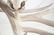 Stag Antler French Provincial 5 Light Chandelier - 9