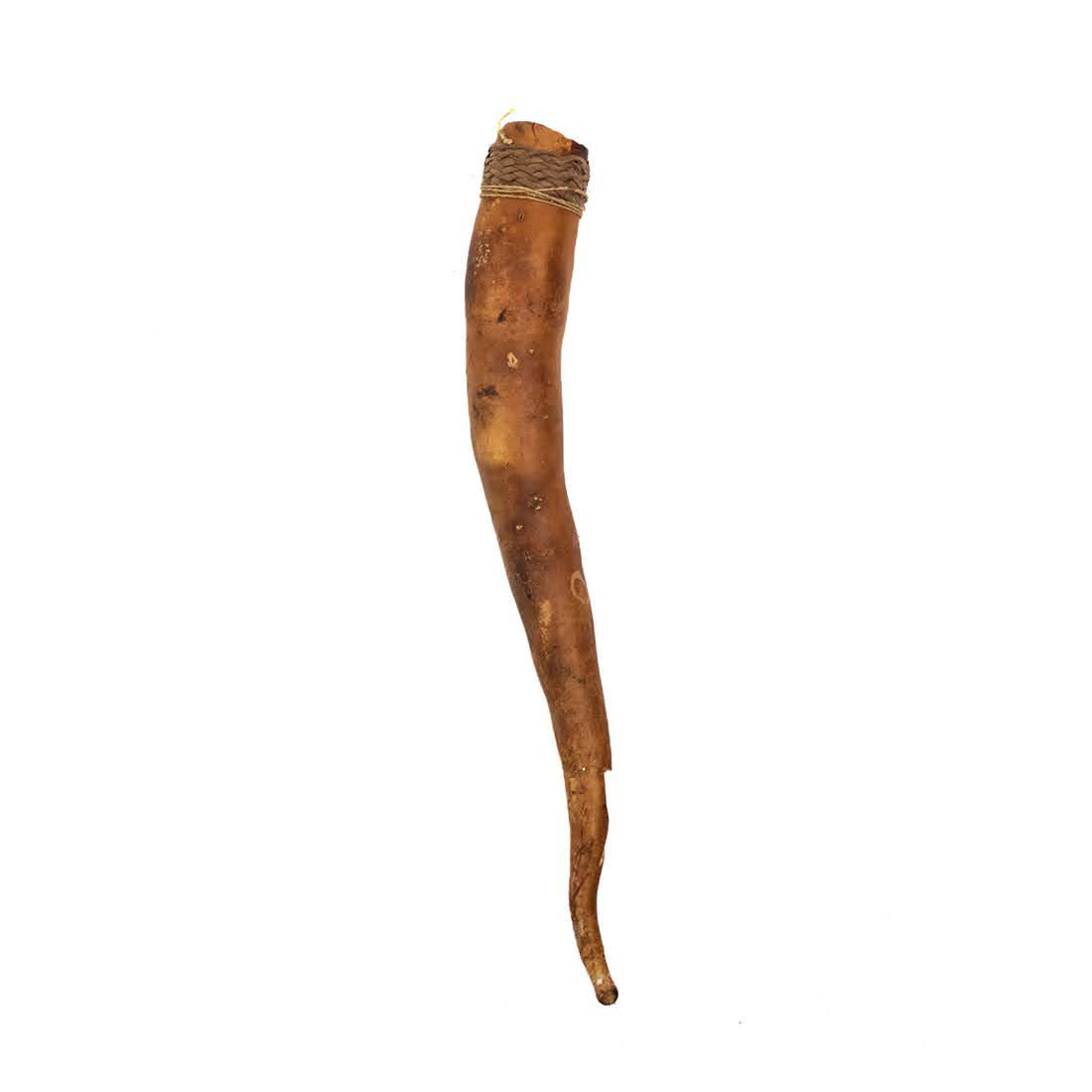New Guinea Dani Koteka Gourd Sheath (1 of 6)
