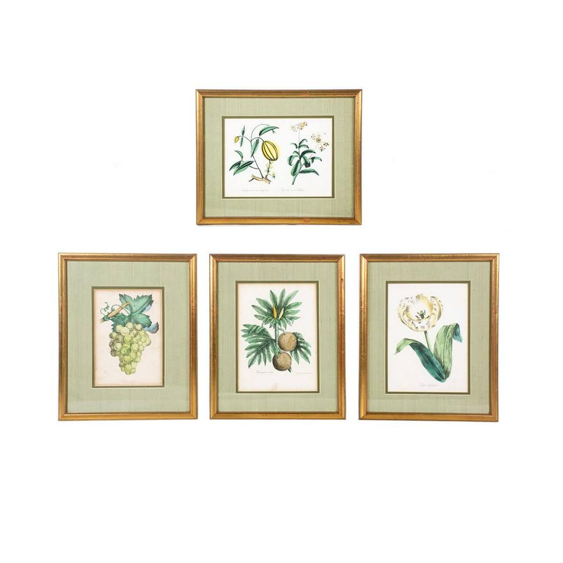 Group of 4 Hand-Colored Botanical Lithograph Prints (1 of 14)