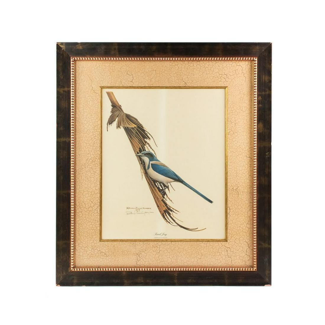 Richard Evans Younger Signed Print â€œScrub Jayâ€ 1973: Richard Evans Younger (American, 1927-2008) signed print titled â€œScrub Jay” depicting a blue scrub jay perched on a large leaf. Presented in a wooden frame with crackle style matte border.
