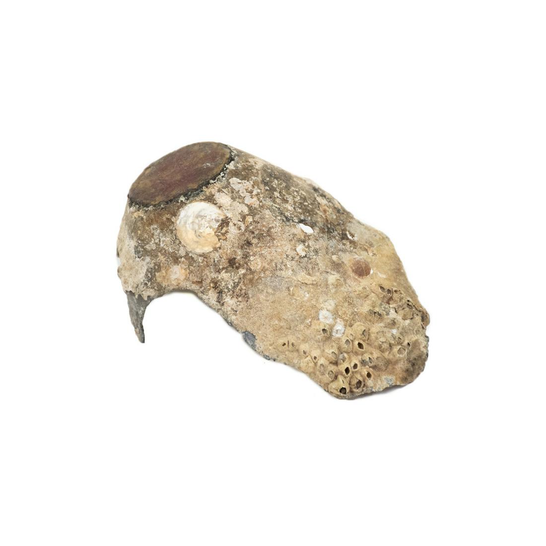 US Sawyer Shell Fuse Cap - Fort Powell, AL: A US sawyer shell fuse cap recovered from Fort Powell, AL in August 1864. Recovered in the 1990s. Provenance: Larry McCoy - Mobile, AL.