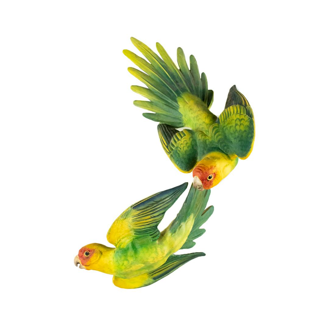 Dorothy Doughty for Royal Worcester Carolina Paroquets: A vintage bone china bird sculpture by Dorothy Doughty for Royal Worcester made in England circa 1968. This work depicts a pair of Extinct Carolina Paroquets. It is marked on the verso. Original box i