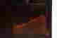 item-113549081=4