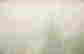item-113589440=6
