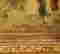 item-113589549=3