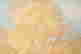 item-113589571=6
