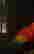 item-113589623=6