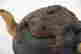 item-114142383=6