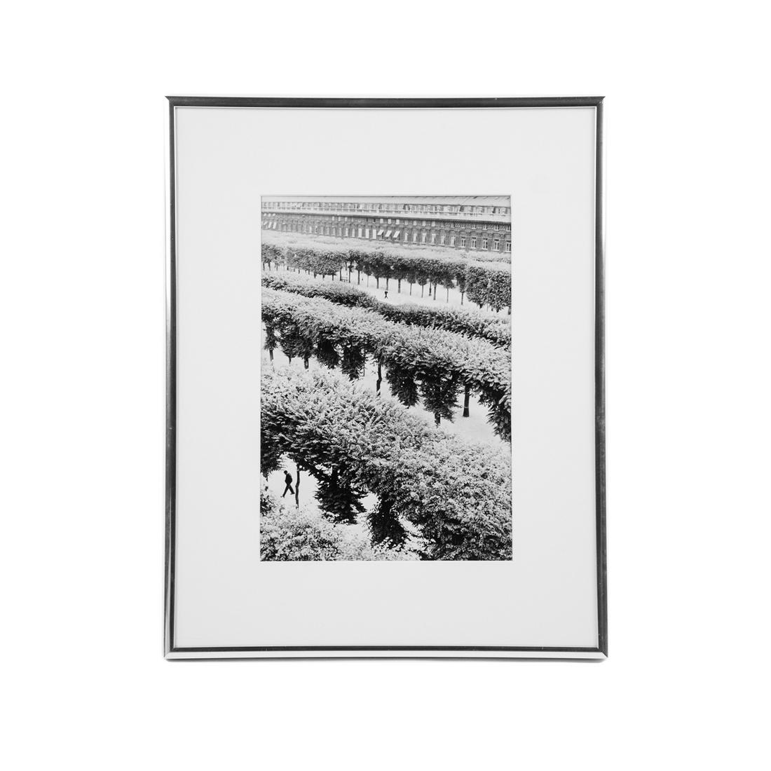 Henri Cartier-Bresson 'Line of Trees' Signed Photograph (1 of 16)