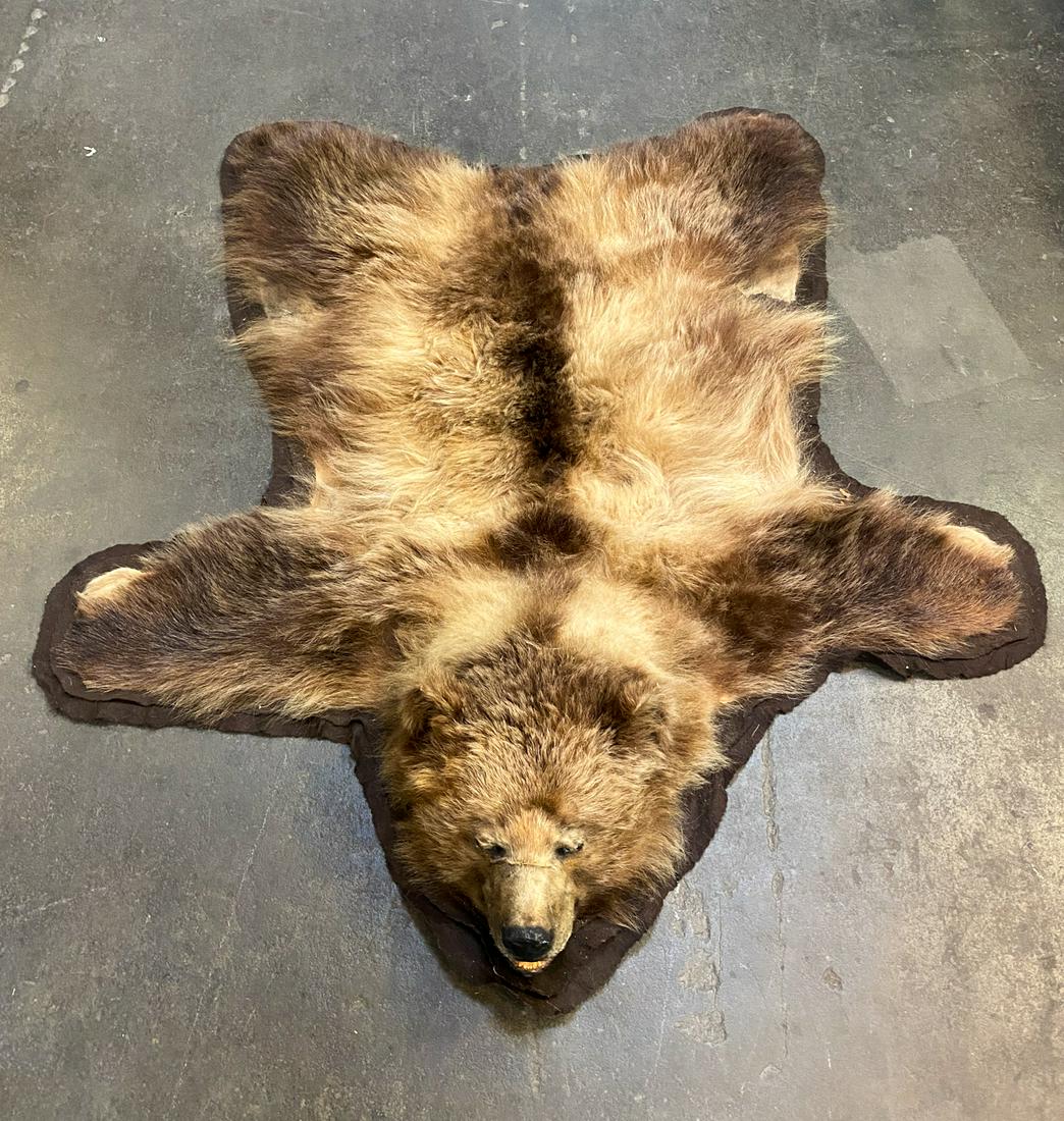 Alaskan Grizzly Bear Taxidermy Full Hide Rug (1 of 11)